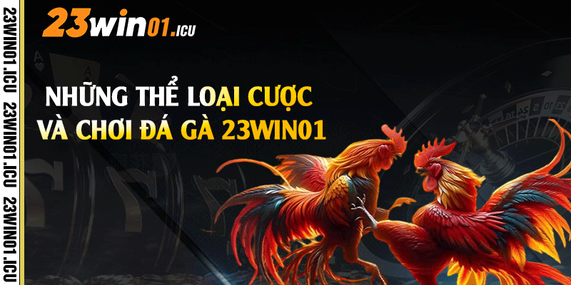 Những thể loại cược và chơi đá gà 23win01