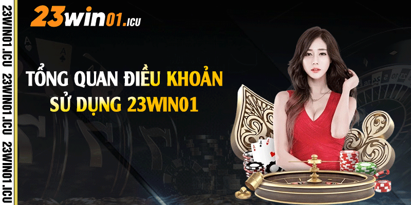 Tổng quan điều khoản sử dụng 23win01